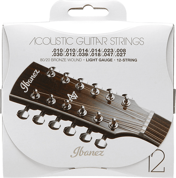 Ibanez IACS12C 12-Saiter