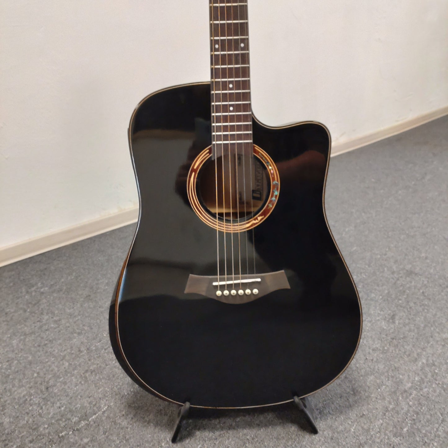 DiMavery Acoustic Pro Model