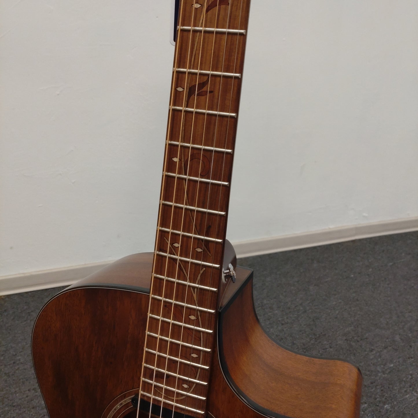 Ibanez AE295-LGS