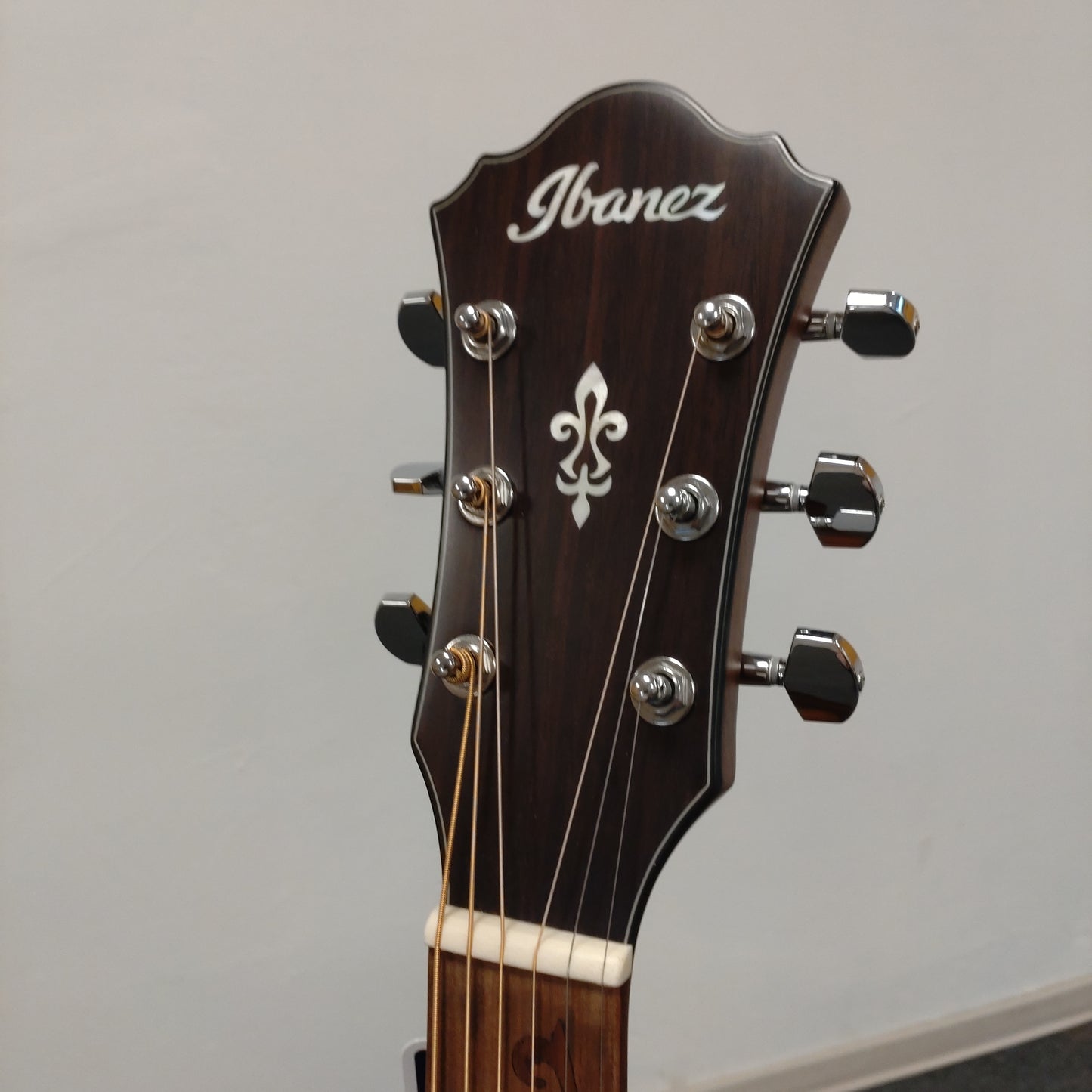 Ibanez AE295-LGS