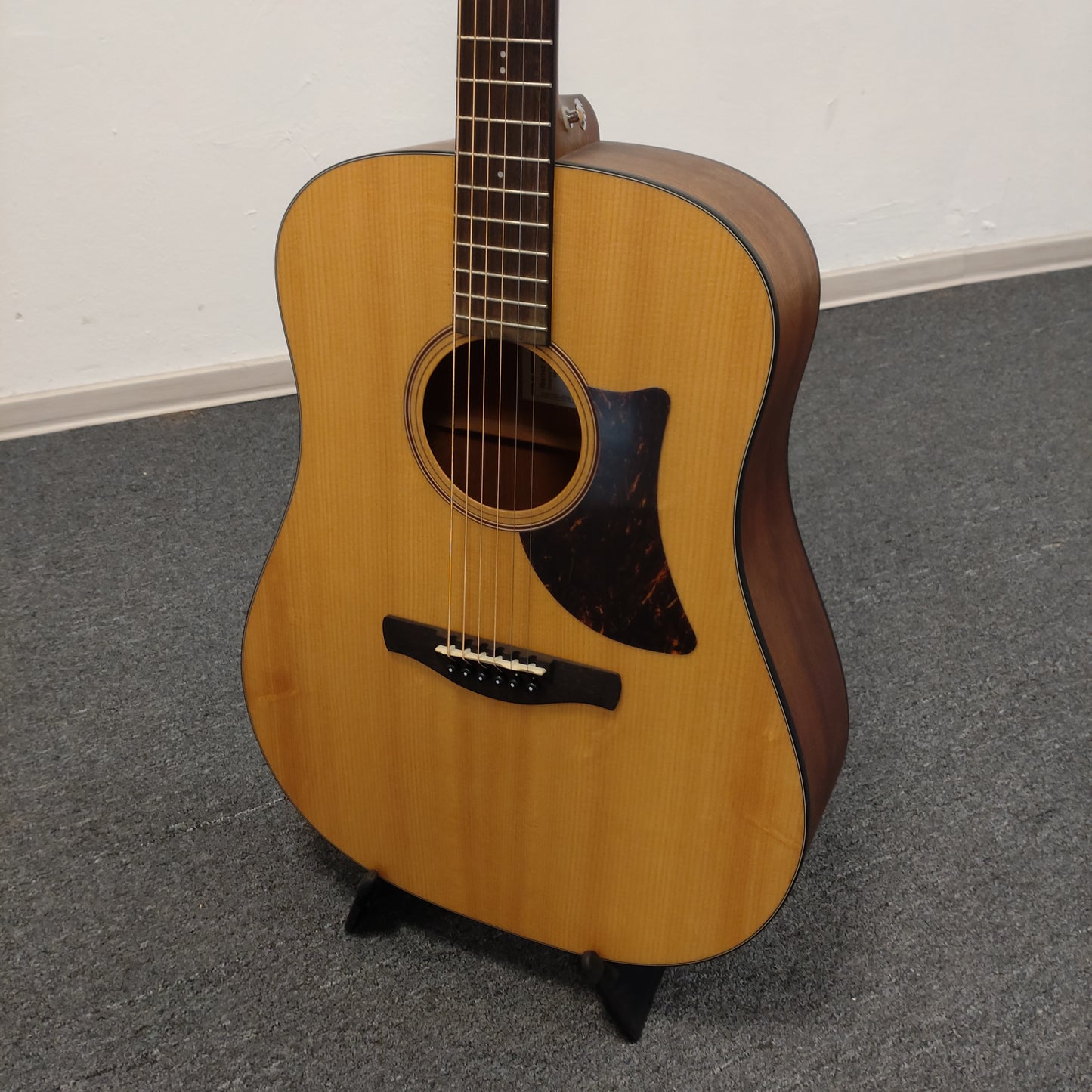 Ibanez AAD100-OPN