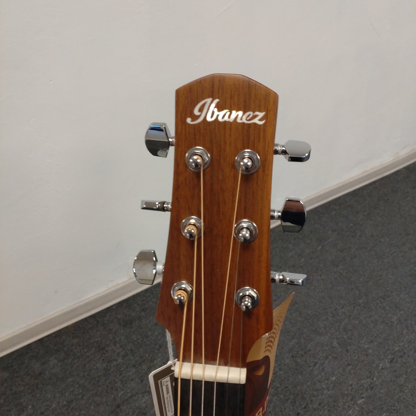 Ibanez AAM54CE-OPN