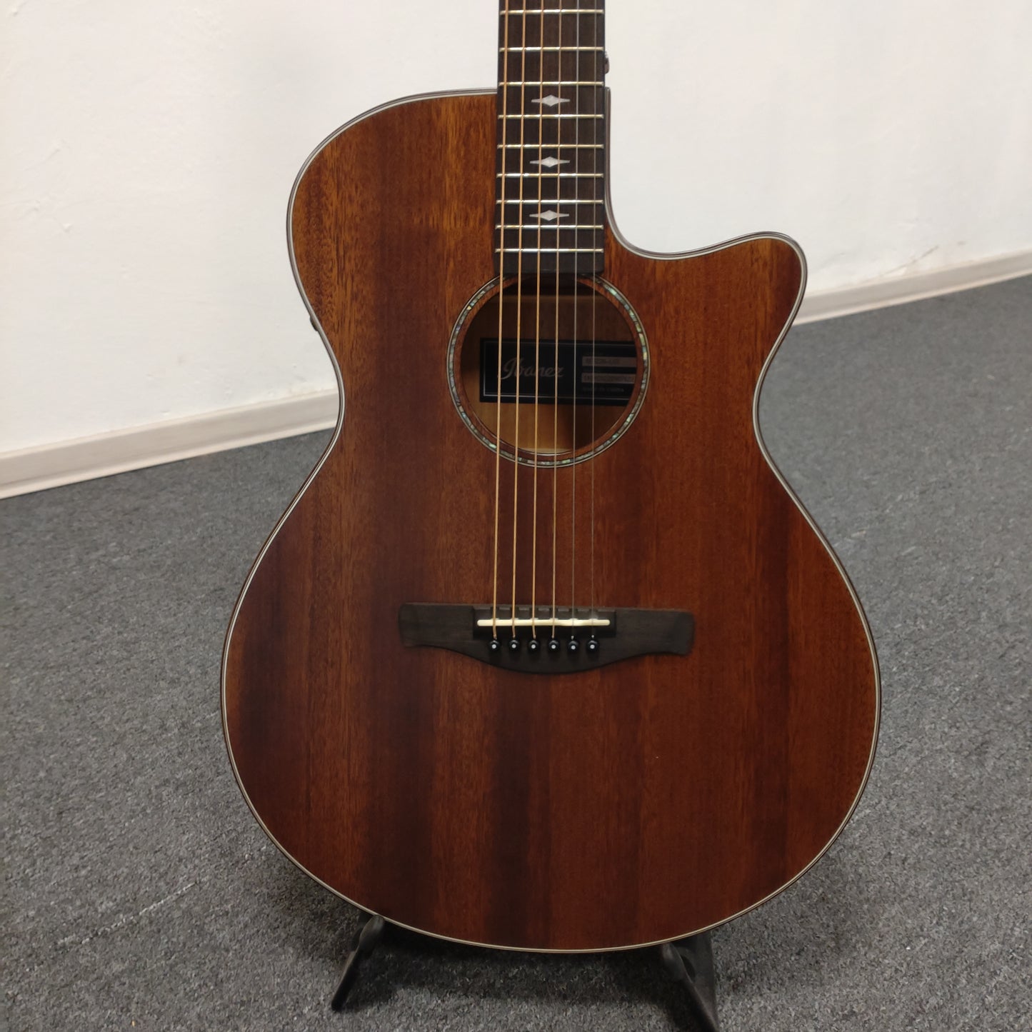 Ibanez AEG220-LGS