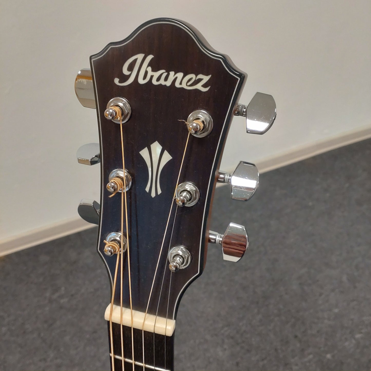 Ibanez AEG220-LGS